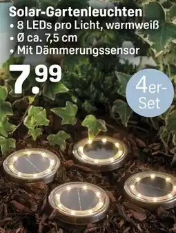 Rossmann Solar-Gartenleuchten Angebot