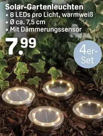Rossmann Solar-Gartenleuchten Angebot