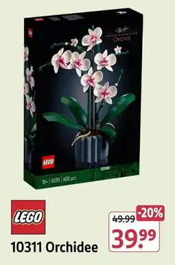Rossmann LEGO 10311 Orchidee Angebot