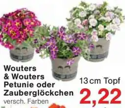 Jawoll Wouters & Wouters Petunie oder Zauberglöckchen Angebot