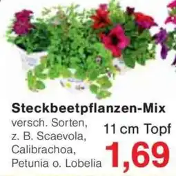 Jawoll Steckbeetpflanzen-Mix Angebot