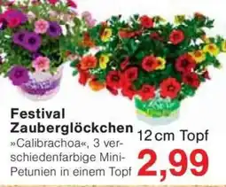 Jawoll Festival Zauberglöckchen Angebot