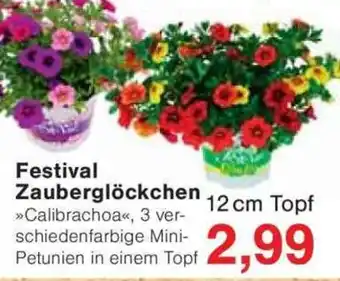Jawoll Festival Zauberglöckchen Angebot
