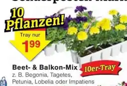 Jawoll Beet- & Balkon-Mix Angebot