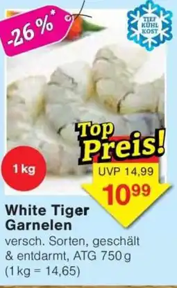 Jawoll White Tiger Garnelen Angebot
