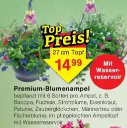 Jawoll Premium-Blumenampel Angebot
