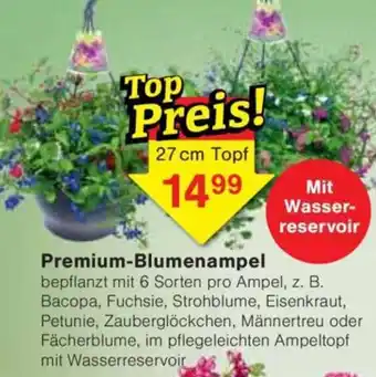 Jawoll Premium-Blumenampel Angebot