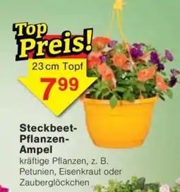 Jawoll Steckbeet- Pflanzen- Ampel Angebot
