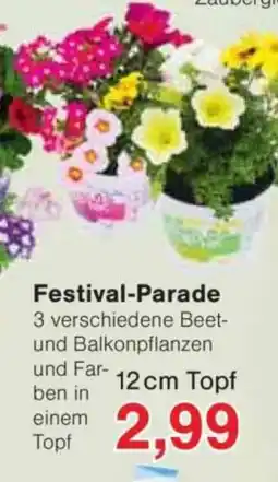 Jawoll Festival-Parade Angebot