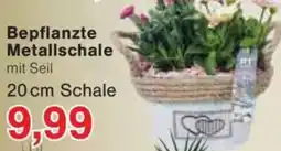 Jawoll Bepflanzte Metallschale Angebot
