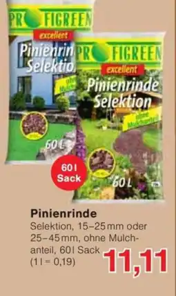 Jawoll Pinienrinde Angebot
