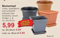 Jawoll Blumentopf Angebot