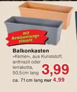 Jawoll Balkonkasten Angebot