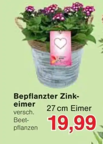 Jawoll Bepflanzter Zink- eimer Angebot
