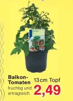 Jawoll Balkon- Tomaten Angebot