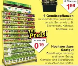 Jawoll Hochwertiges Saatgut Angebot