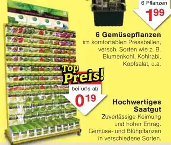 Jawoll Hochwertiges Saatgut Angebot