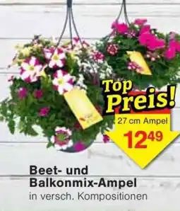 Jawoll Beet- und Balkonmix-Ampel Angebot