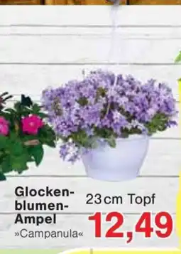 Jawoll Glocken- blumen- Angebot