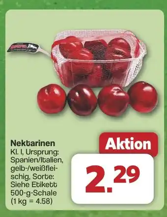 Famila Nord West Nektarinen Angebot
