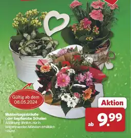 Famila Nord West Muttertagssträuße oder bepflanzte Schalen Angebot