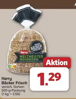 Famila Nord West Harry Bäcker Frisch Angebot