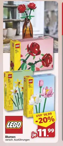Famila Nord West Blumen Angebot