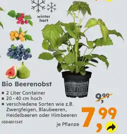 Globus Baumarkt Bio Beerenobst Angebot