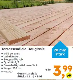 Globus Baumarkt Terrassendiele Douglasie Angebot