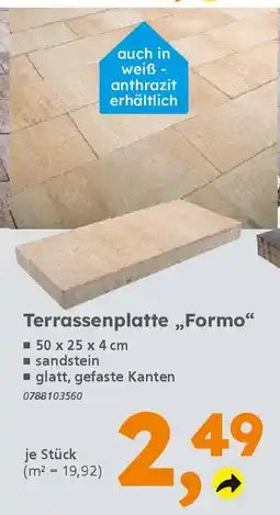 Globus Baumarkt Terrassenplatte „,Formo❝ Angebot