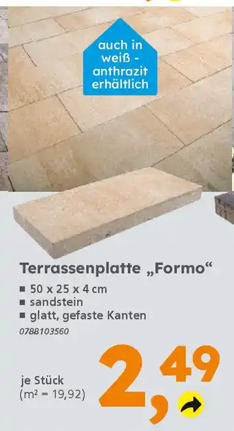 Globus Baumarkt Terrassenplatte „,Formo❝ Angebot