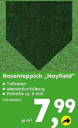Globus Baumarkt Rasenteppich „Hayfield“ Angebot