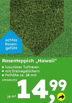 Globus Baumarkt Rasenteppich „Hawaii“ Angebot