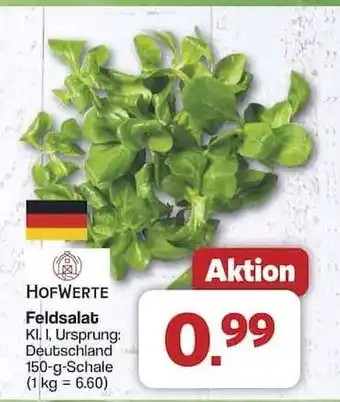 Famila Nord Ost Feldsalat Angebot