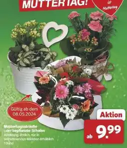 Famila Nord Ost Muttertagssträuße oder bepflanzte Schalen Angebot