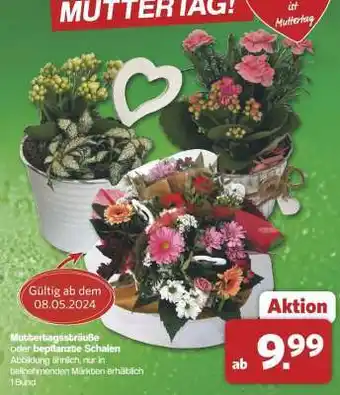 Famila Nord Ost Muttertagssträuße oder bepflanzte Schalen Angebot