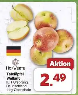 Famila Nord Ost Tafeläpfel Wellant Angebot