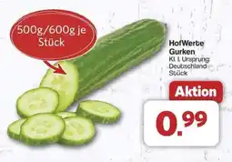 Famila Nord Ost HofWerte Gurken Angebot