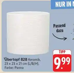 Edeka Übertopf 828 Angebot