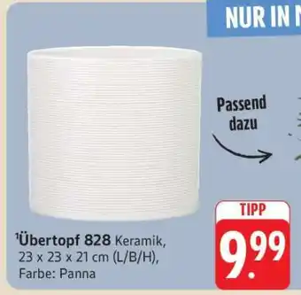 Edeka Übertopf 828 Angebot