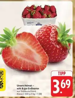 Edeka Unsere Heimat − echt & gut Erdbeeren Angebot