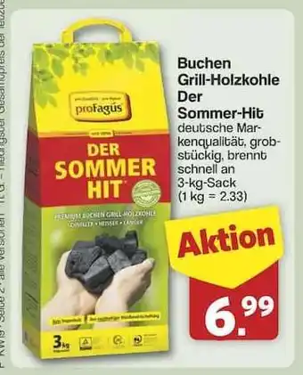 Famila Nord Ost Buchen Grill-Holzkohle Angebot