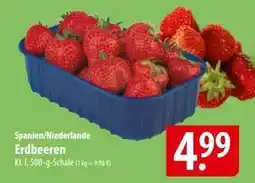 Famila Nord Ost Erdbeeren Angebot