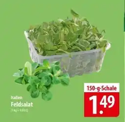 Famila Nord Ost Italien Feldsalat Angebot