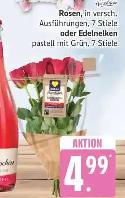 Edeka Rosen oder Edelnelken Angebot