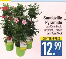 Edeka Sundaville Pyramide Angebot