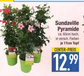 Edeka Sundaville Pyramide Angebot