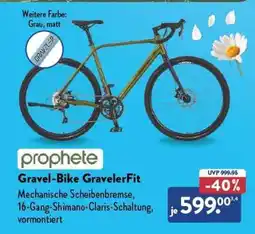 Aldi Nord Gravel-Bike GravelerFit Angebot