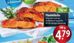 Famila Nord Ost Flammlachs Angebot