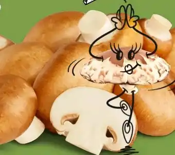 PENNY Naturgut Bio Champignons Angebot